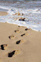 footprints